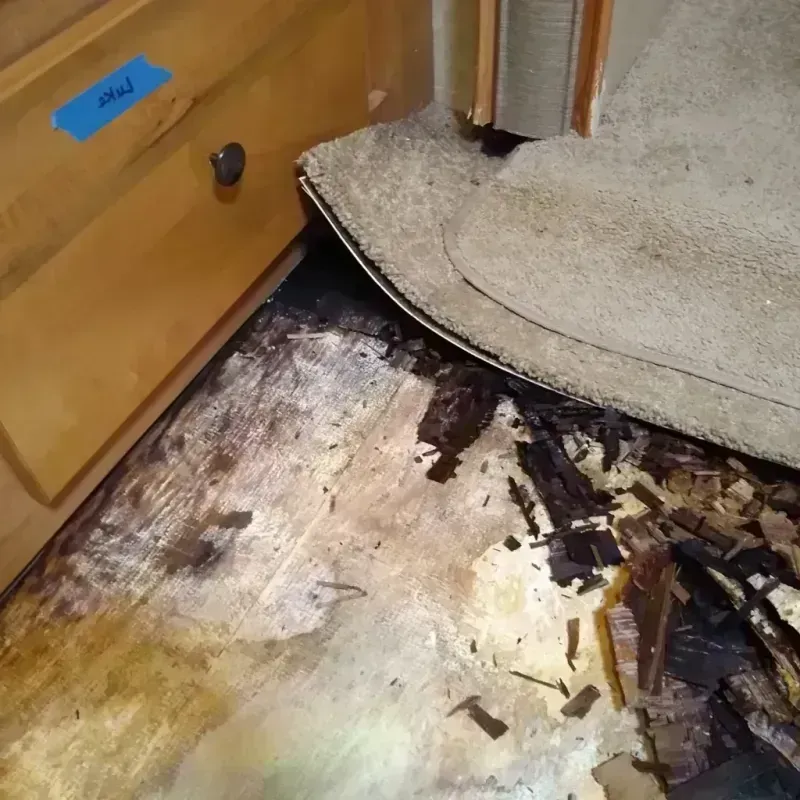 Wood Floor Water Damage in Jasper, IN